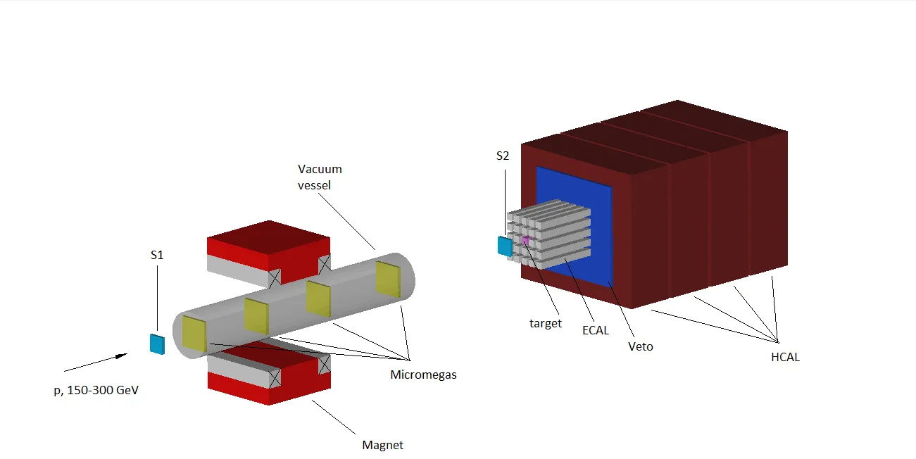 p beam setup